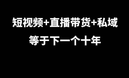 短视频+直播带货+私域等于下一个十年，大佬7年实战经验总结-985网创