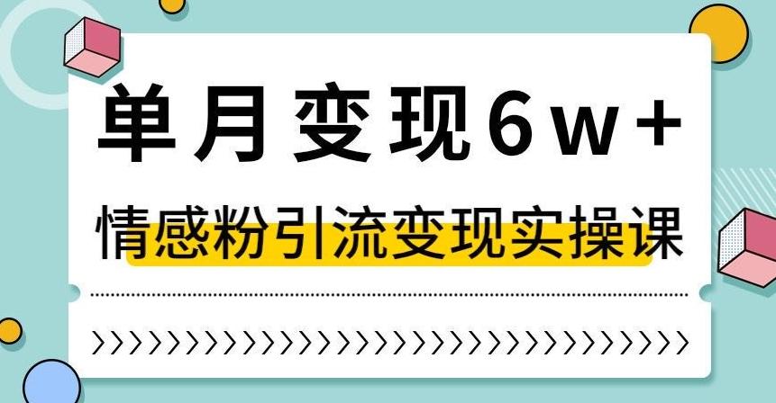 单月变现6W+，抖音情感粉引流变现实操课，小白可做，轻松上手，独家赛道【揭秘】-985网创