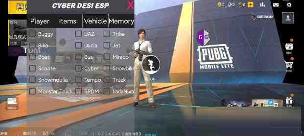 PUBG轻量老外裸奔绘制+自瞄 支持ROOT和框架 里面有全局离线-985网创