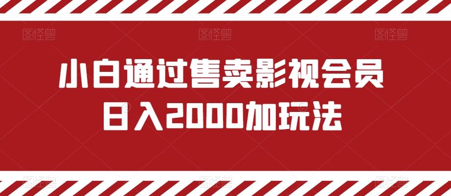 小白通过售卖影视会员日入2000加玩法-985网创