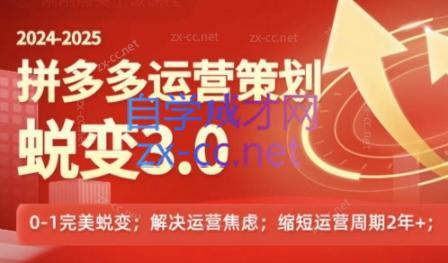 大力老师·2024拼多多运营策略蜕变3.0-985网创
