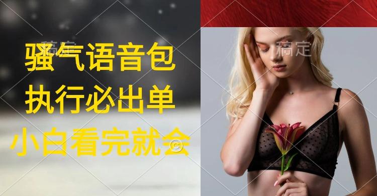 (9589期)执行就出单，日入2000+，超火骚气语音包，小白看完课程就能马上实操-985网创