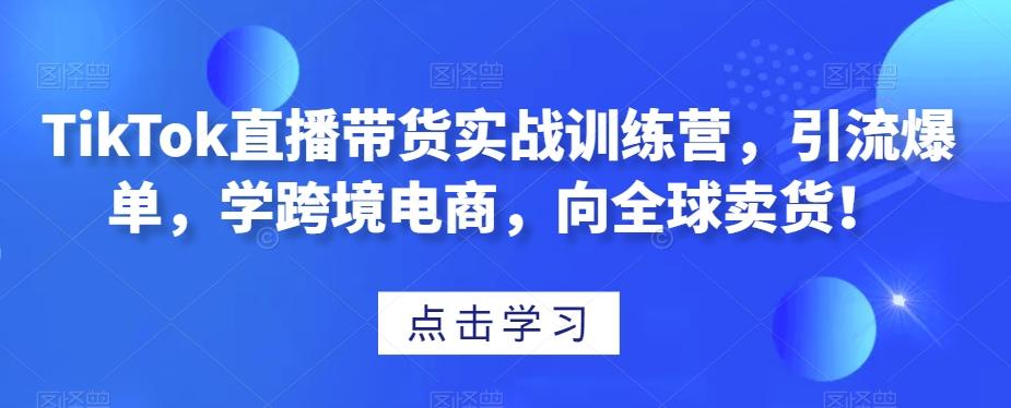TikTok直播带货实战训练营，引流爆单，学跨境电商，向全球卖货！-985网创