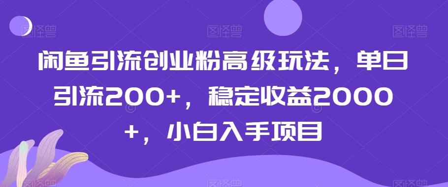 闲鱼引流创业粉高级玩法，单日引流200+，稳定收益2000+，小白入手项目-985网创