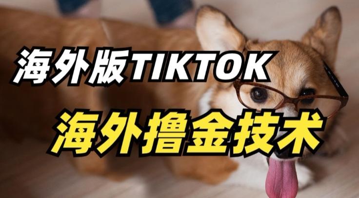 抖音海外版tiktok撸金技术，这个风口行业，赚钱真的不难【揭秘】-985网创