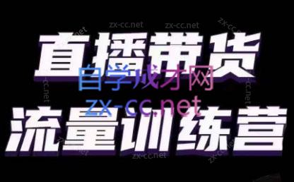 婉婉·直播带货课程系列合集(更新8月)-985网创