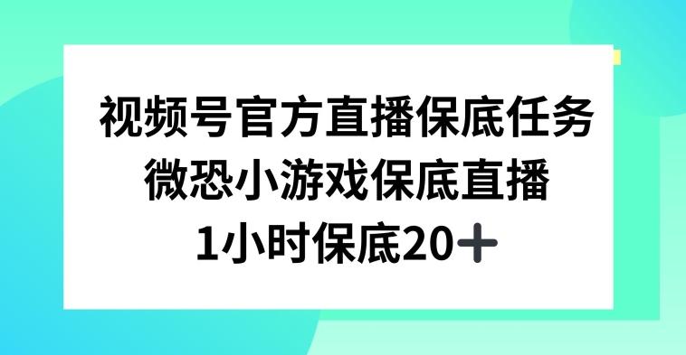 视频号直播任务，微恐小游戏，1小时20+【揭秘】-985网创
