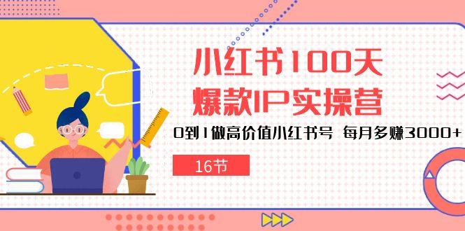 小红书100天-爆款IP实操营，0到1做高价值小红书号 每月多赚3000+(16节-985网创