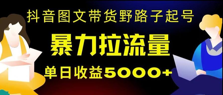 抖音图文带货暴力起号，单日收益5000+，野路子玩法，简单易上手，一部手机即可【揭秘】-985网创