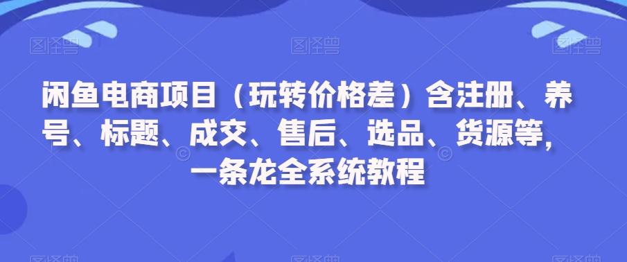 闲鱼电商项目(玩转价格差)含注册、养号、标题、成交、售后、选品、货源等，一条龙全系统教程-985网创