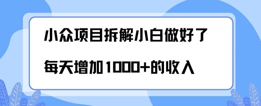 小众项目拆解，小白做好了每天可增加1000多的收入-985网创