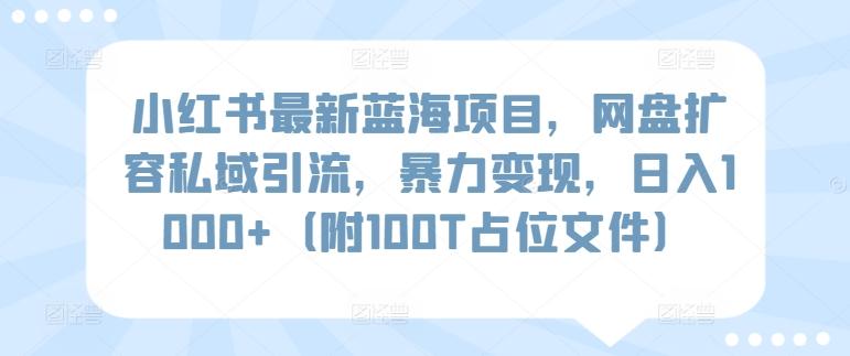 小红书最新蓝海项目，网盘扩容私域引流，暴力变现，日入1000+(附100T占位文件)【揭秘】-985网创