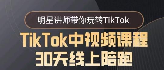 TikTok中视频课程30天线上陪跑，明星讲师带你玩转TikTok-985网创