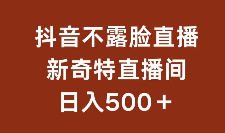 不露脸挂机直播，新奇特直播间，日入500+【揭秘】-985网创
