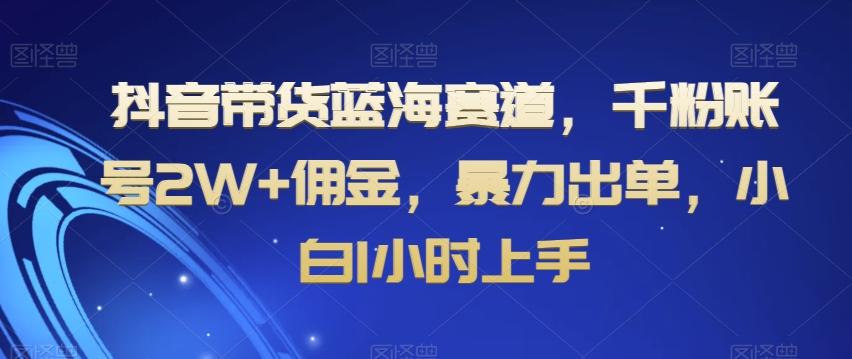 抖音带货蓝海赛道，千粉账号2W+佣金，暴力出单，小白1小时上手【揭秘】-985网创