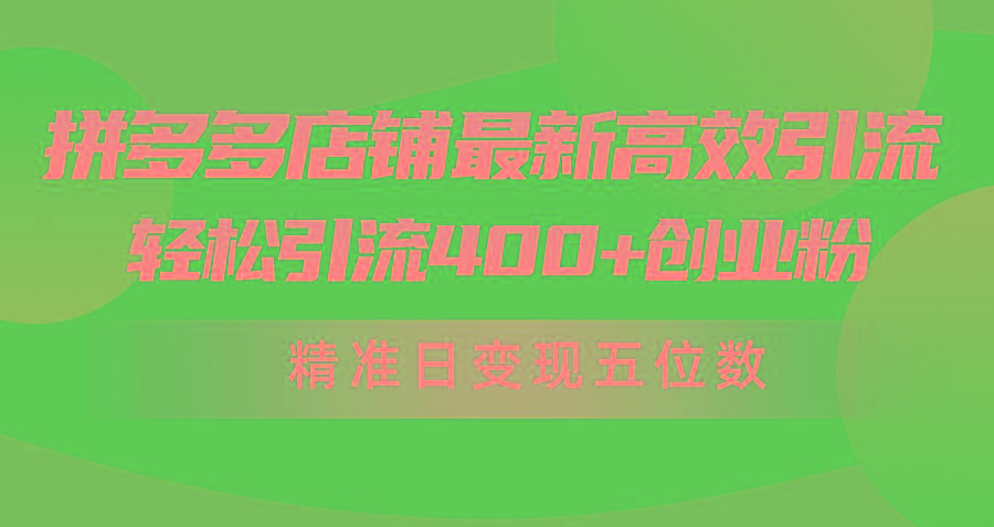 (10041期)拼多多店铺最新高效引流术，轻松引流400+创业粉，精准日变现五位数！-985网创