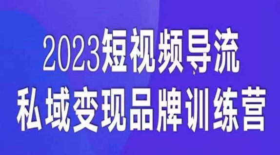 短视频导流·私域变现先导课，5天带你短视频流量实现私域变现-985网创
