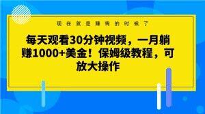 每天观看30分钟视频，一月躺赚1000+美金！保姆级教程，可放大操作【揭秘】-985网创