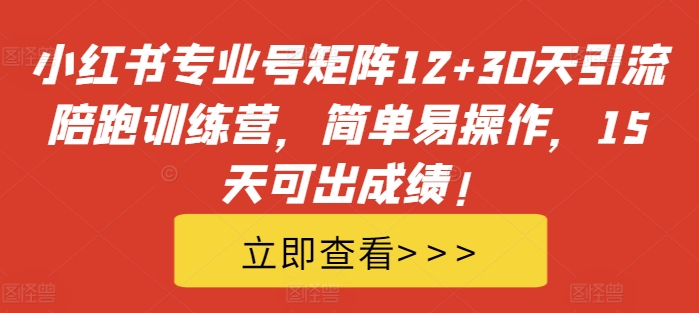 小红书专业号矩阵12+30天引流陪跑训练营，简单易操作，15天可出成绩!-985网创