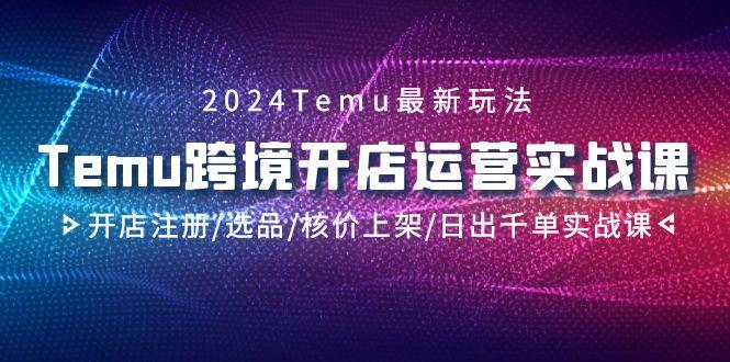 2024Temu跨境开店运营实战课，开店注册/选品/核价上架/日出千单实战课-985网创
