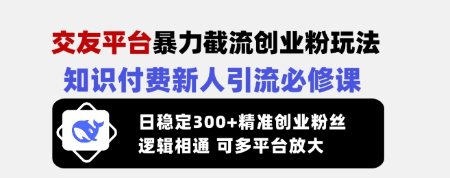 交友平台暴力截流创业粉玩法，知识付费新人引流必修课，日稳定300+精准创业粉丝，逻辑相通可多平台放大-985网创