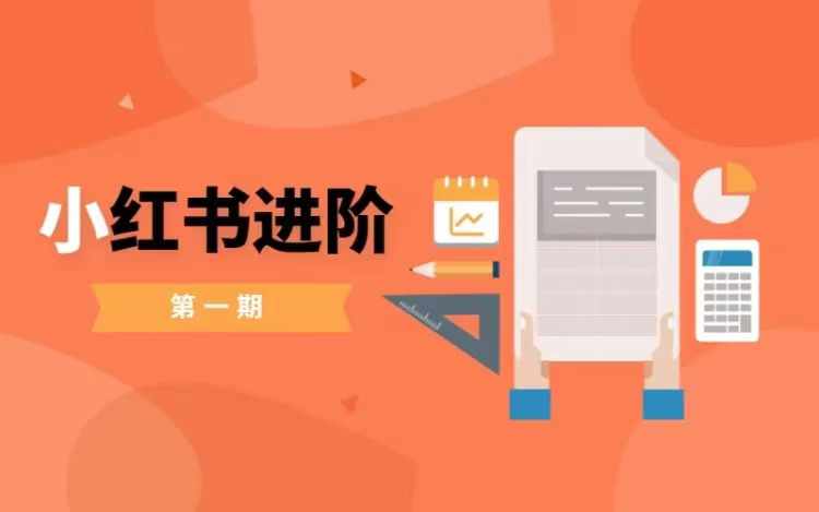 小红书进阶篇，零基础小白实战课，普通人变现的课程-985网创