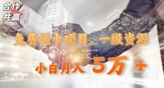 免费送卡项目，一级资源，小白月入5万+-985网创