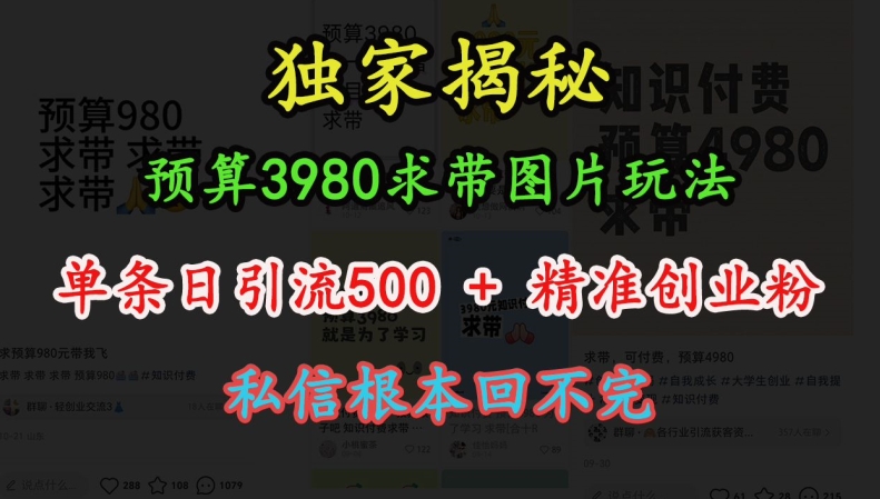 预算3980求带 图片玩法，单条日引流500+精准创业粉，私信根本回不完-985网创