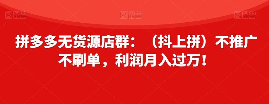 拼多多无货源店群：（抖上拼）不推广不刷单，利润月入过万！【揭秘】-985网创