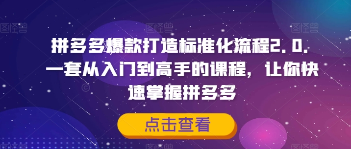 拼多多爆款打造标准化流程2.0，一套从入门到高手的课程，让你快速掌握拼多多-985网创