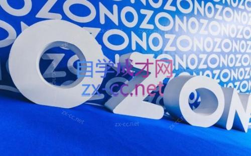 森哥·出海俄罗斯电商实操(2024)-985网创