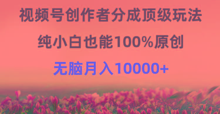 (9608期)视频号创作者分成顶级玩法，纯小白也能100%原创，无脑月入10000+-985网创