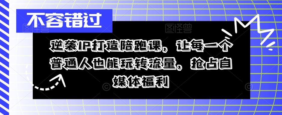 逆袭IP打造陪跑课，让每一个普通人也能玩转流量，抢占自媒体福利-985网创