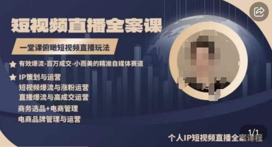 高品质IP短视频直播全案课程，一堂课俯瞰短视频直播玩法-985网创