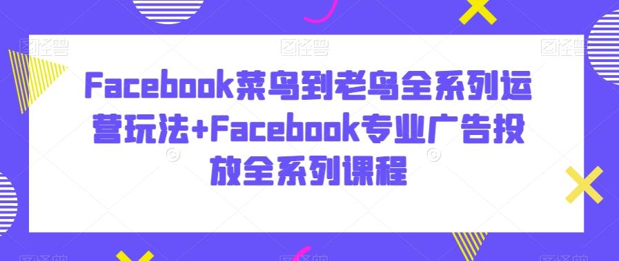 Facebook菜鸟到老鸟全系列运营玩法+Facebook专业广告投放全系列课程-985网创