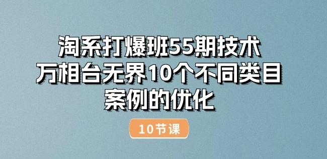 淘系打爆班55期技术：万相台无界10个不同类目案例的优化(10节)-985网创