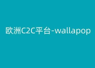欧洲C2C平台-wallapop-kim跨境电商教程-985网创