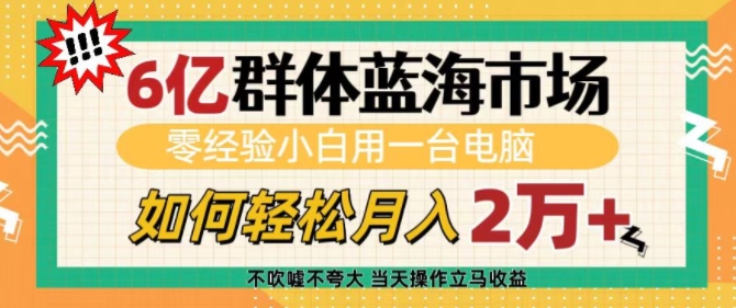 6亿群体蓝海市场，零经验小白用一台电脑，如何轻松月入过w【揭秘】-985网创