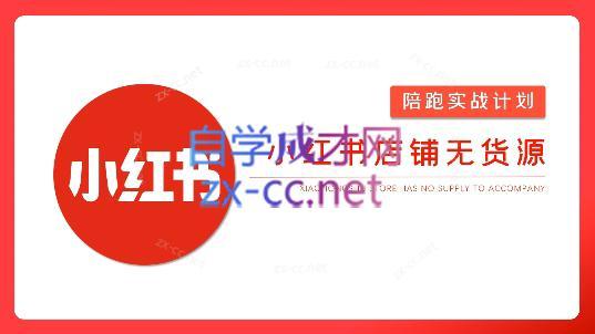 安琪·小红书店铺无货源-985网创