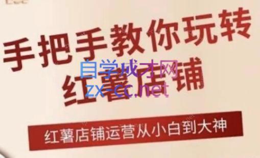 海燕老师·2024手把手教你玩转红薯店铺-985网创