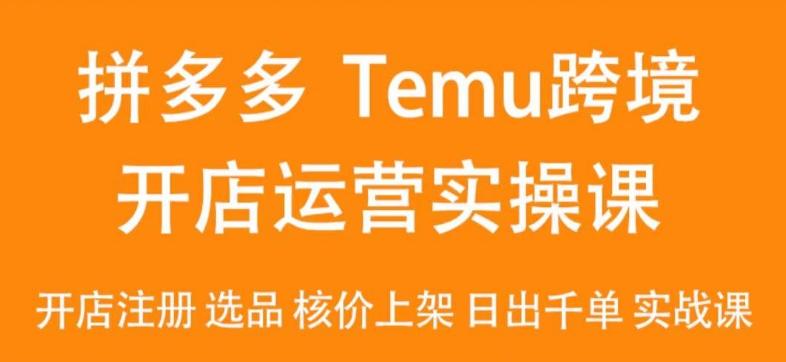 2024Temu最新玩法，Temu跨境开店运营实操课，开店注册/选品/核价上架/日出千单实战课-985网创