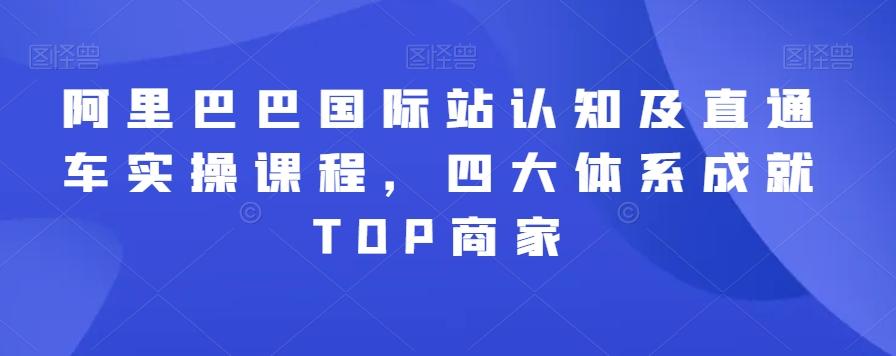 阿里巴巴国际站认知及直通车实操课程，四大体系成就TOP商家-985网创