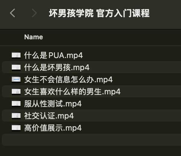 坏男孩学院 官方入门课程-985网创