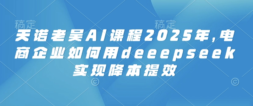 天诺老吴AI课程2025年，电商企业如何用deeepseek实现降本提效-985网创