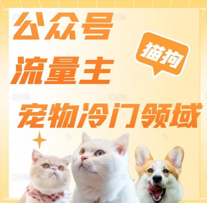 公众号流量主，萌宠冷门领域，单日收益2000+，简单暴力掘金，矩阵操作，无限放大收益！-985网创