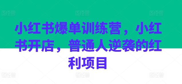 小红书爆单训练营，小红书开店，普通人逆袭的红利项目-985网创