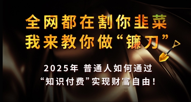 全网都在割你韭菜，我来教你做镰刀，2025年普通人如何通过 知识付费 实现财F自由【揭秘】-985网创