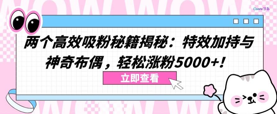 两个高效吸粉秘籍揭秘：特效加持与神奇布偶，轻松涨粉5000+【揭秘】-985网创