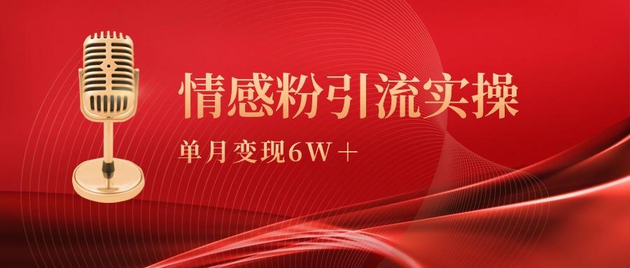 (9473期)单月变现6w+，情感粉引流变现实操课-985网创