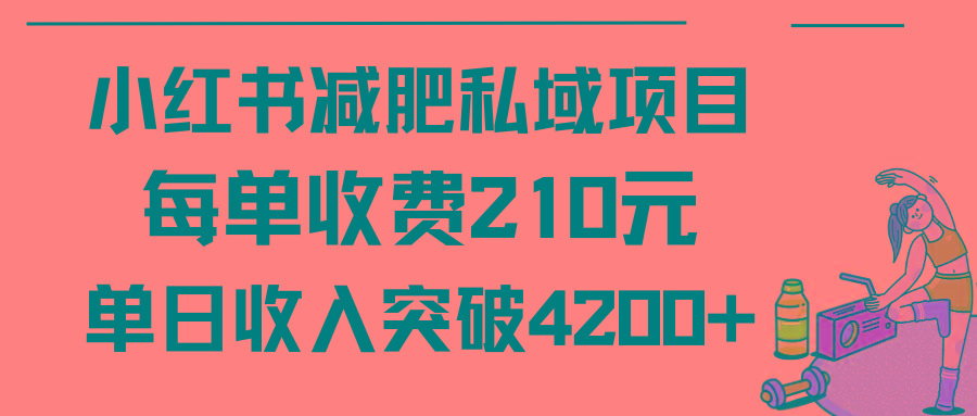 (9466期)小红书减肥私域项目每单收费210元单日成交20单，最高日入4200+-985网创